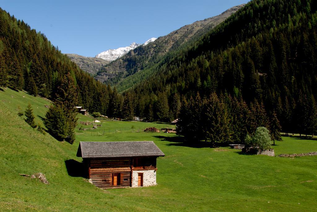 Alpen Hotel Rabbi Luaran gambar